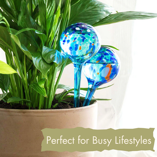 Aqua·Loon Plant Hydration Globes (2 units)