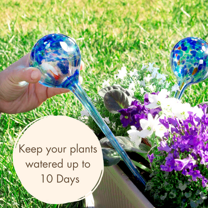 Aqua·Loon Plant Hydration Globes (2 units)